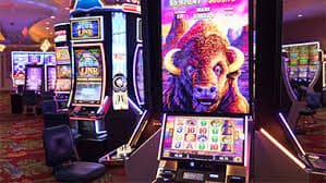 MadamToto Kemenangan jackpot besar dari Tembak Ikan dan Live Casino – cerita sukses member nyata